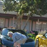 cambria2012CN_0087 (November 04, 2012)